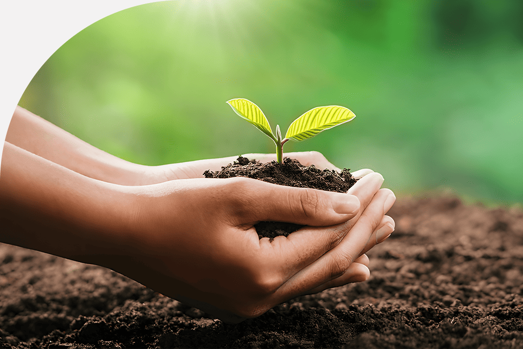 updated At Rejuvenate banner